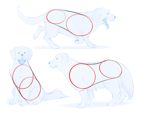 Featured image of post Dog Paw Drawing Side View : Drawing tips animal drawings drawing tutorial paw drawing drawings wolf drawing dog drawing cat drawing t art.