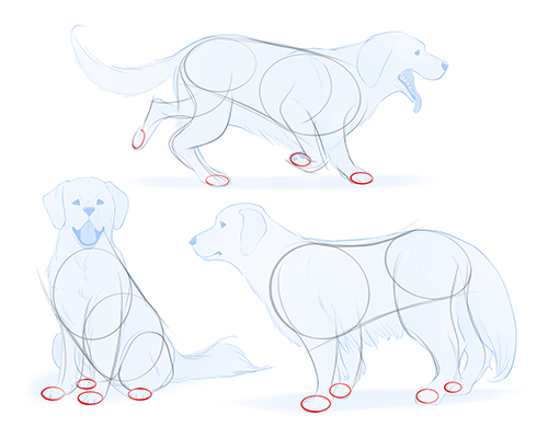 How to Draw Dogs | Art Rocket