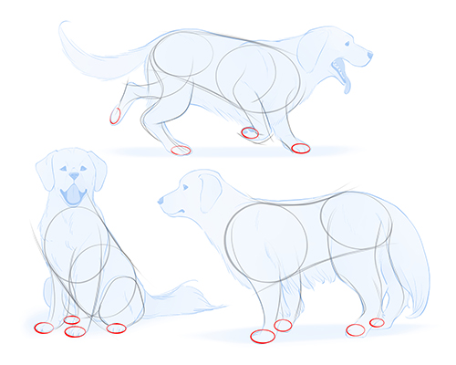 How to Draw a Dog in 4 easy steps! - Smiling Colors