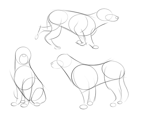 Featured image of post How To Draw A Dog Paw￼ - Also, draw dark pads under.