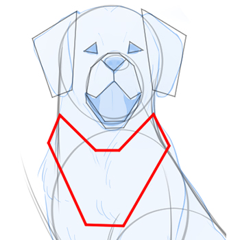 Draw a napkin shape to convey the fluffy fur around a dog's neck