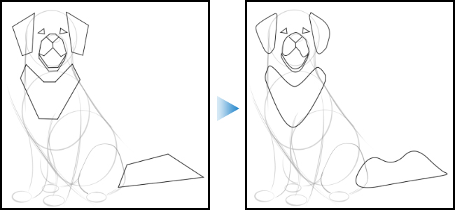 Next step in drawing dogs is to round out the shapes in the sketch for a realistic look