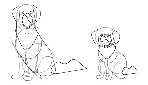 With the same easy step-by-step drawing process, you can draw different types of dogs by changing the shape and size