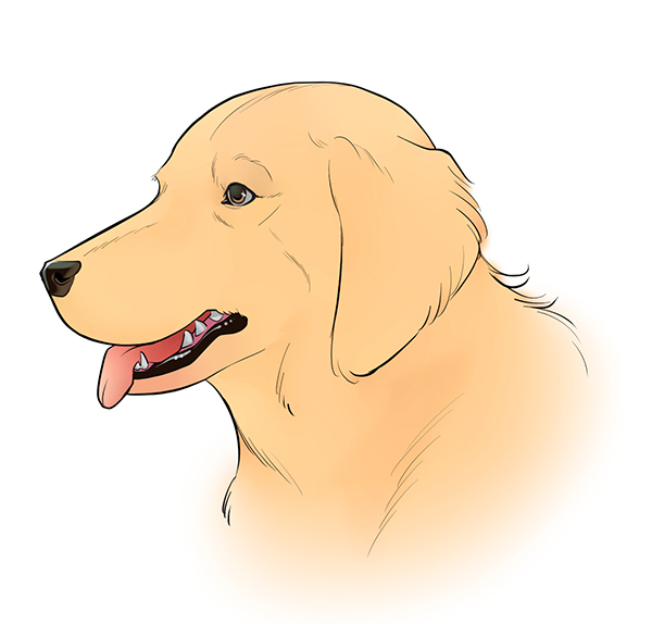 A finished close-up colored drawing of a dog's head