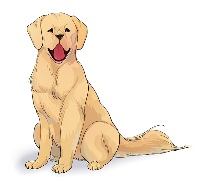 A finished drawing that was made by following this simple step-by-step tutorial for drawing dogs