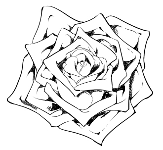 0097 22 - Hướng dẫn chi tiết cách vẽ hoa hồng đơn giản với 9 bước cơ bản