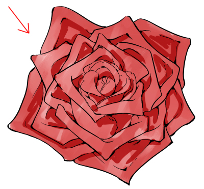 0097 25 - Hướng dẫn chi tiết cách vẽ hoa hồng đơn giản với 9 bước cơ bản