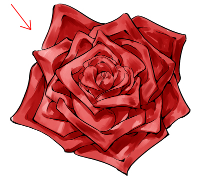 0097 28 - Hướng dẫn chi tiết cách vẽ hoa hồng đơn giản với 9 bước cơ bản