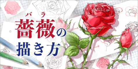 薔薇(バラ)の描き方-誰でも簡単に描ける手順を解説- | イラスト