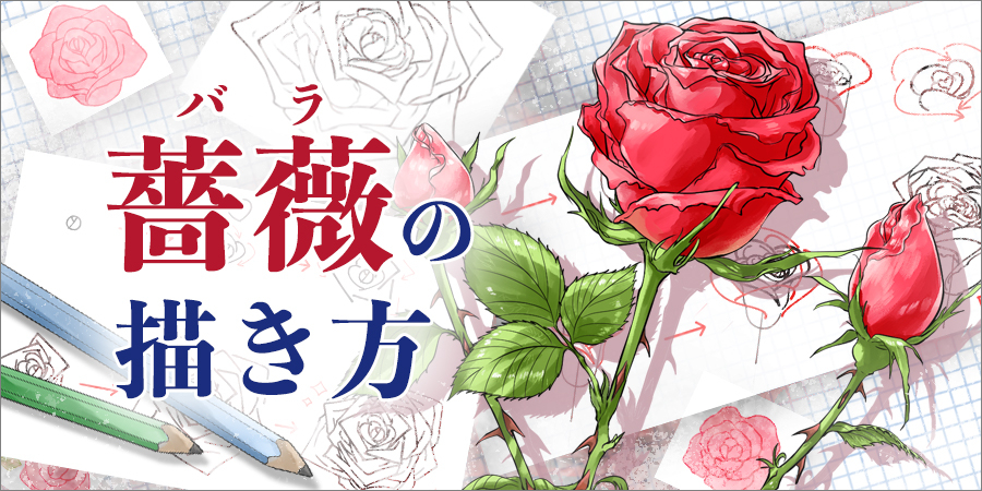 薔薇 バラ の描き方 誰でも簡単に描ける手順を解説 イラスト