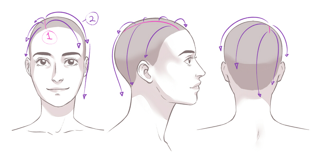 Make hair reference points to plan your drawing