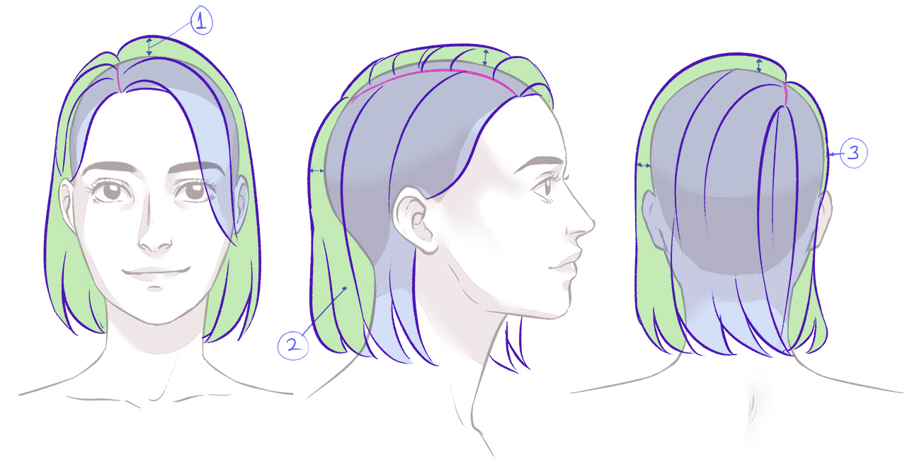 Hair volume is important to keep in mind when drawing hair
