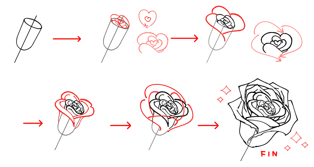 薔薇 バラ の描き方 誰でも簡単に描ける手順を解説 イラスト