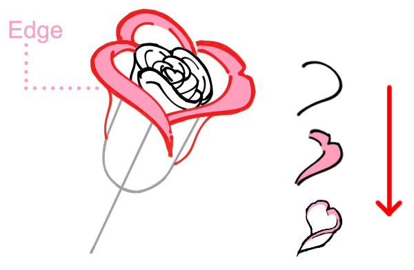 0097 014 en us - Hướng dẫn chi tiết cách vẽ hoa hồng đơn giản với 9 bước cơ bản