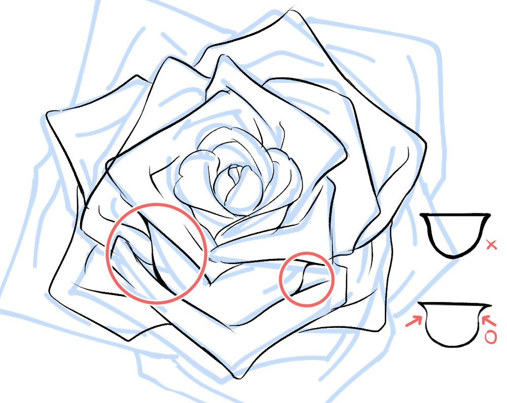 0097 019 2 1 - Hướng dẫn chi tiết cách vẽ hoa hồng đơn giản với 9 bước cơ bản