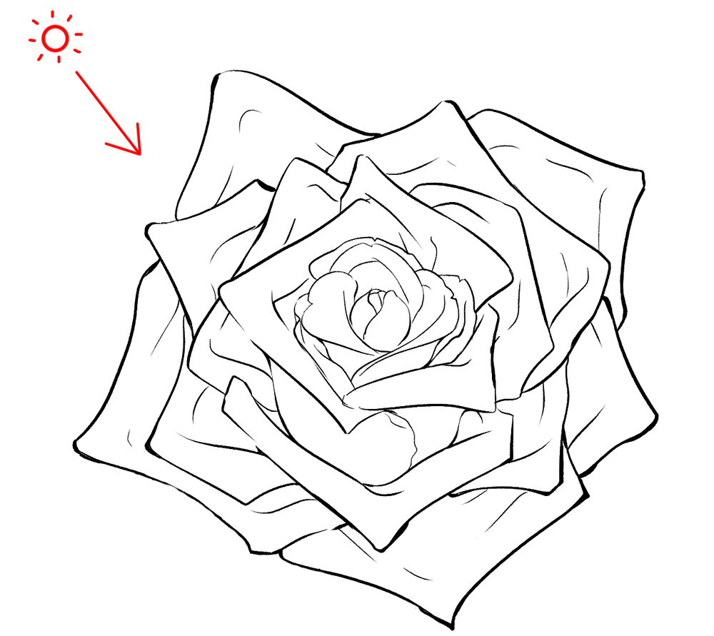 0097 023 2 1 - Hướng dẫn chi tiết cách vẽ hoa hồng đơn giản với 9 bước cơ bản