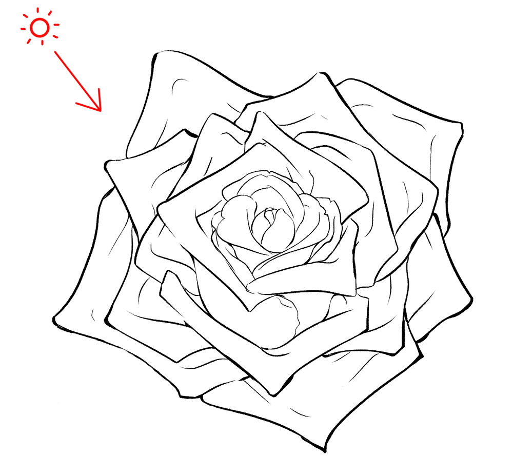 バラの描き方　バラの塗り方　光源を決める