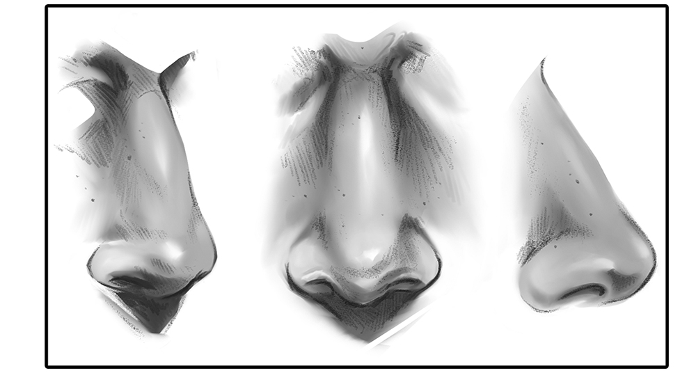 drawing nose