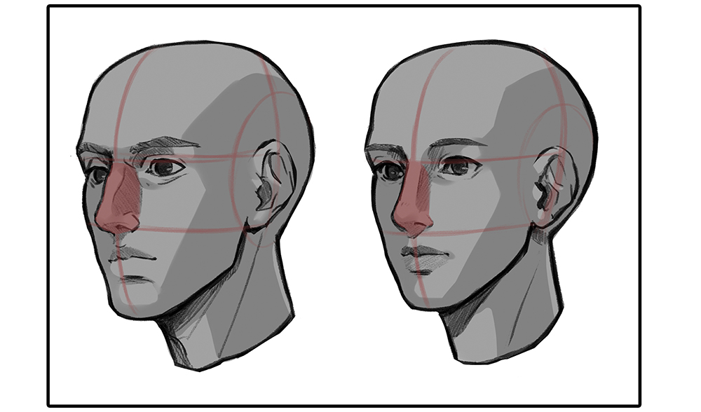 Nose proportions by face shape