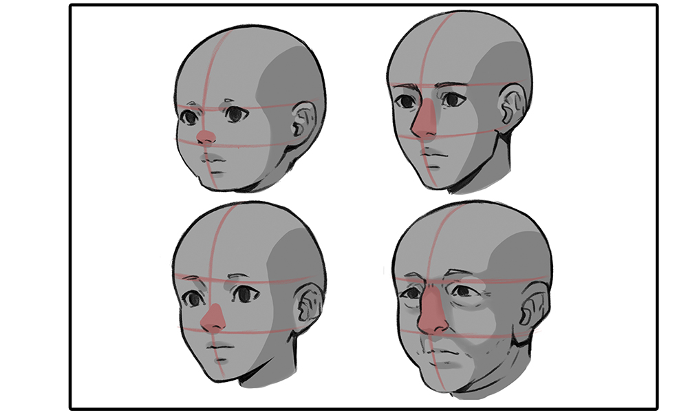 Nose shapes by age