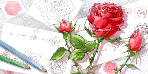 Malen einfach rosen Rosen Malen