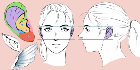 Guide pour dessiner les oreilles !