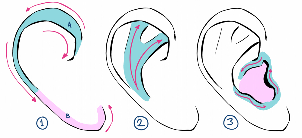獣耳などファンタジーにも活用できる 耳の描き方 イラスト マンガ描き方ナビ
