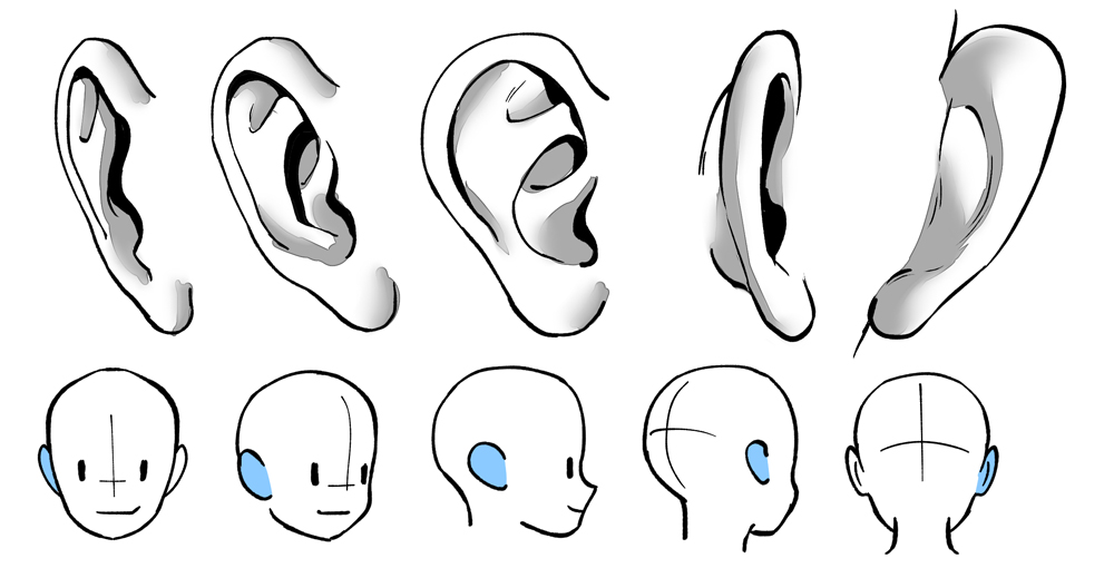 Drawing Ear Elf How to Draw Manga ear face people png  PNGEgg