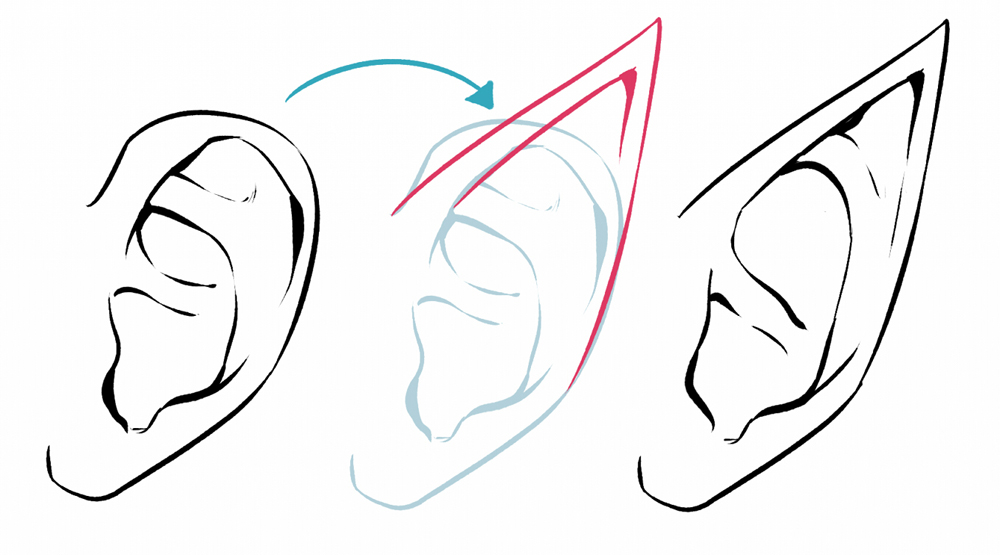 how to draw a human ear