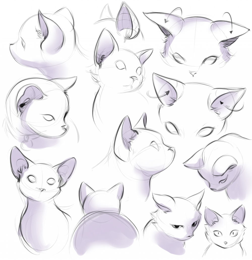 Featured image of post Cat Ear Drawing Reference I use refs but they always end