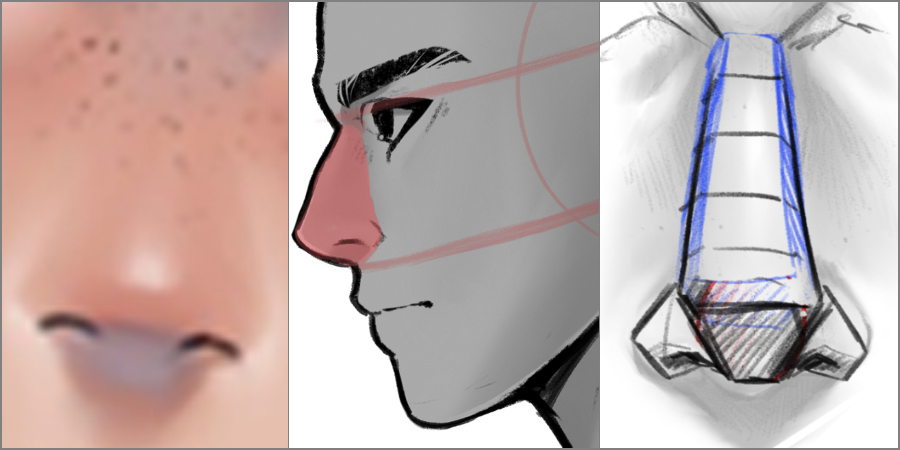 ArtStation  How to use real life anatomy to draw a perfect anime nose