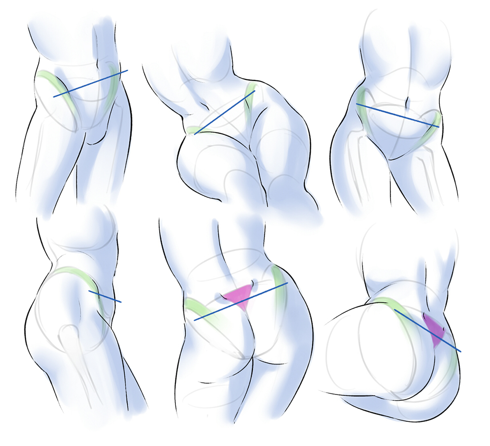 Sample poses of the position of the pelvis in drawings