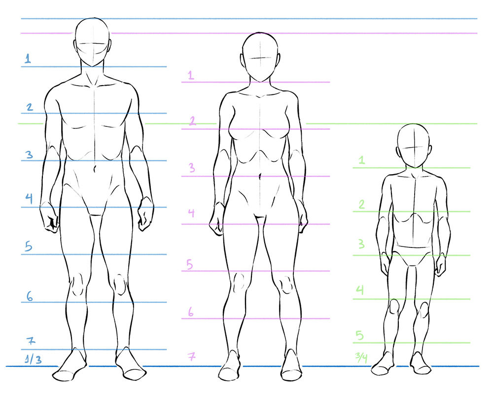 Explained Human Figure Drawings And Sketches (Male And Female Both