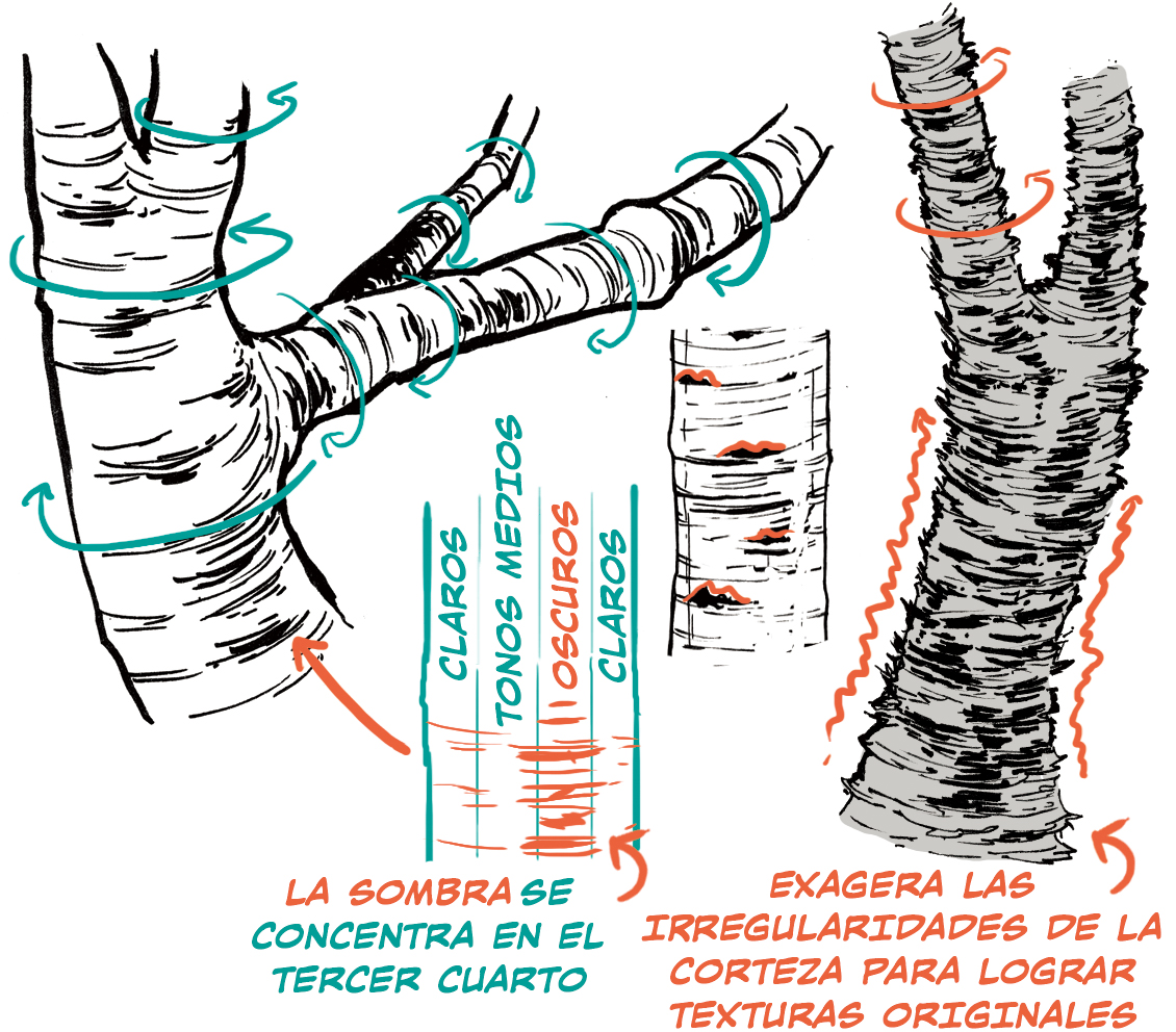 Cómo dibujar árboles | Art Rocket