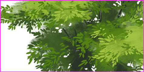 How to Draw Tree Foliage