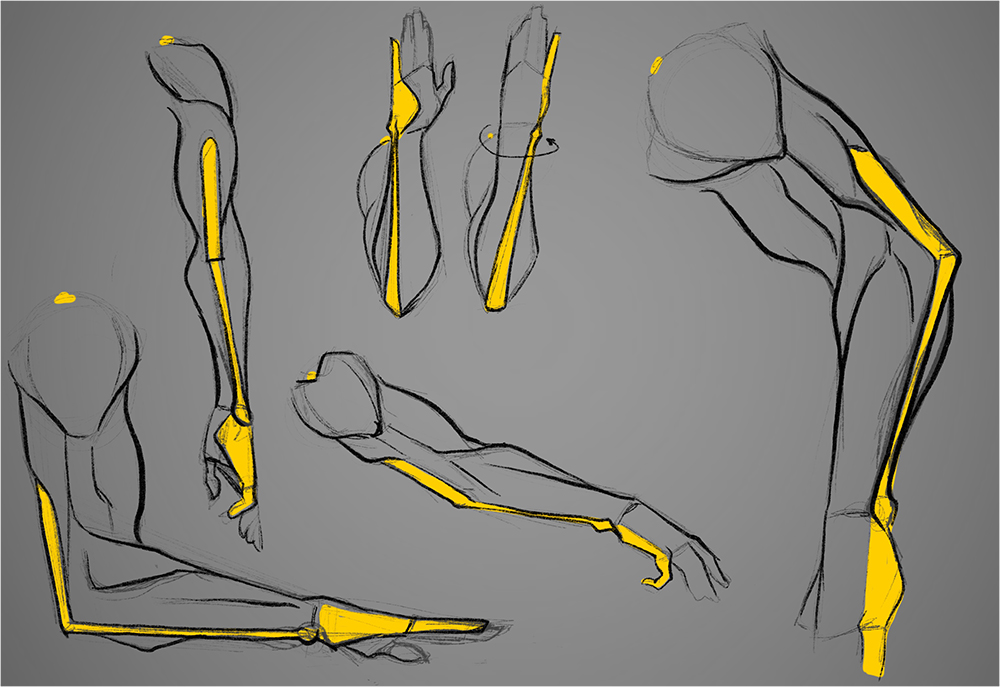 Anatomy of female drawing reference  그리기 튜토리얼, 드로잉 강좌