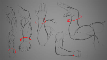 How to Draw an Arm | Art Rocket