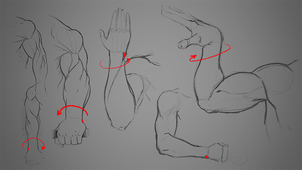 ᕼIᗰᗩᑎᔕᕼᑌ on Instagram: “Basic male anatomy practice 😖😖😩 Boring!  #malemodel #anatomy #practice #figure #sketc… | Figure sketching, Figure  drawing, Anatomy drawing
