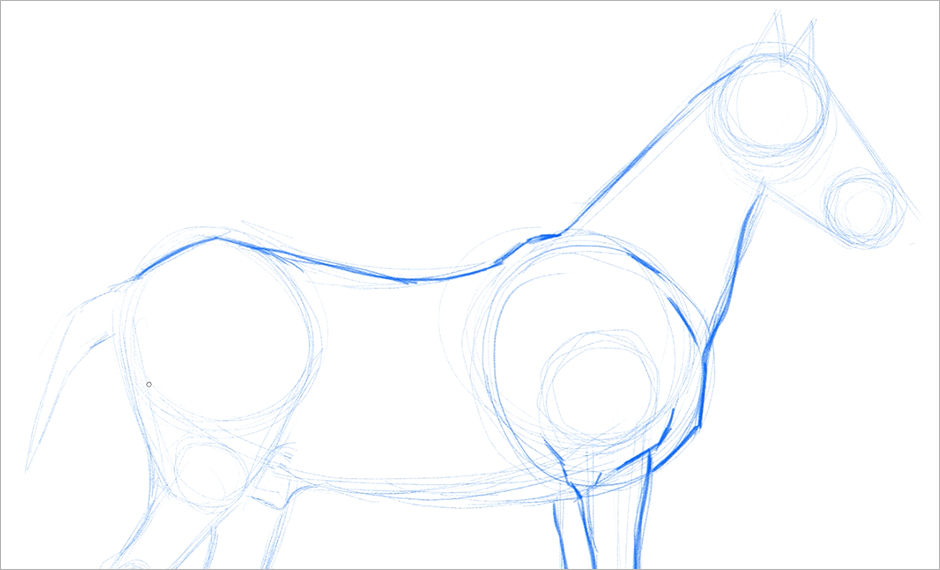 Cómo dibujar un caballo realista paso a paso  Adobe