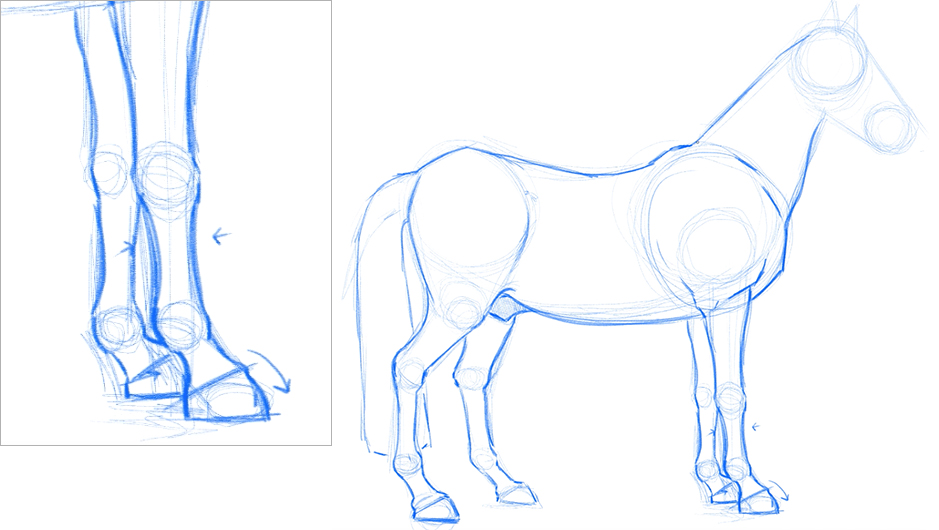 Cómo dibujar caballos | Art Rocket