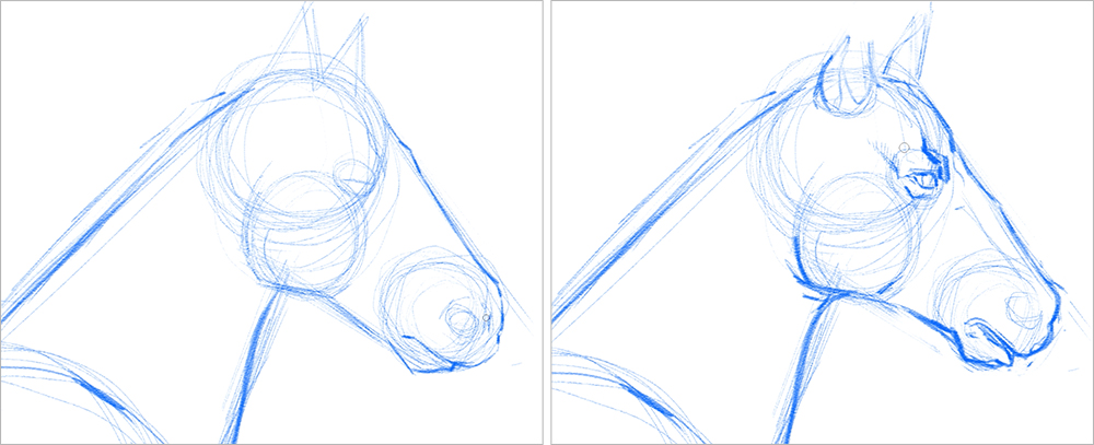 How to draw a horse - Gathered