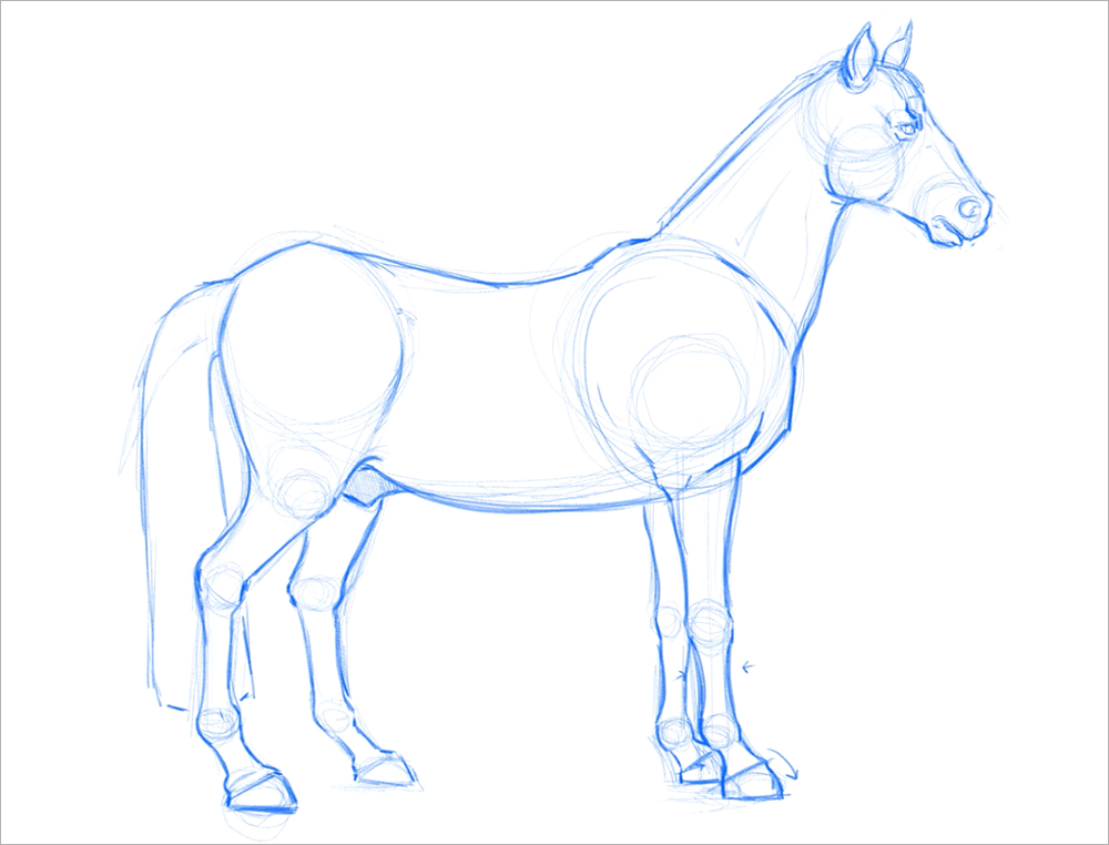 How-To-Draw-Horses  Dessin cheval facile, Comment dessiner un