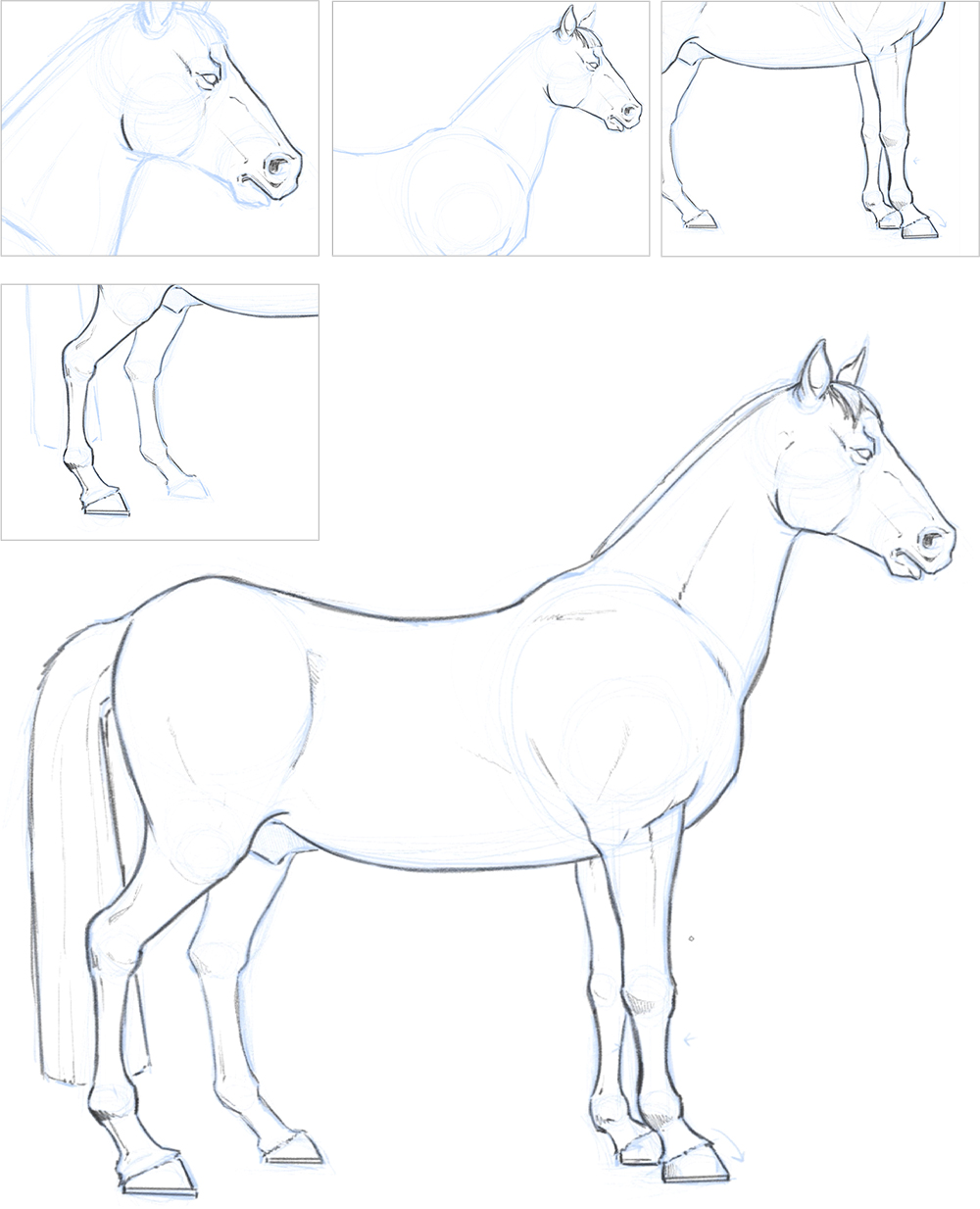 Horse Sketch Images - Free Download on Freepik-suu.vn