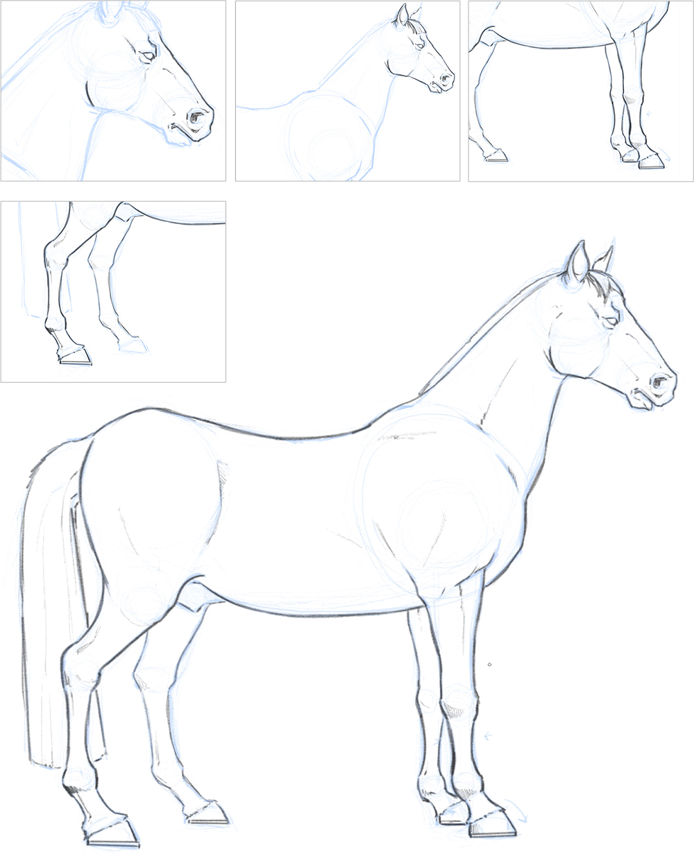 How-To-Draw-Horses  Dessin cheval facile, Comment dessiner un