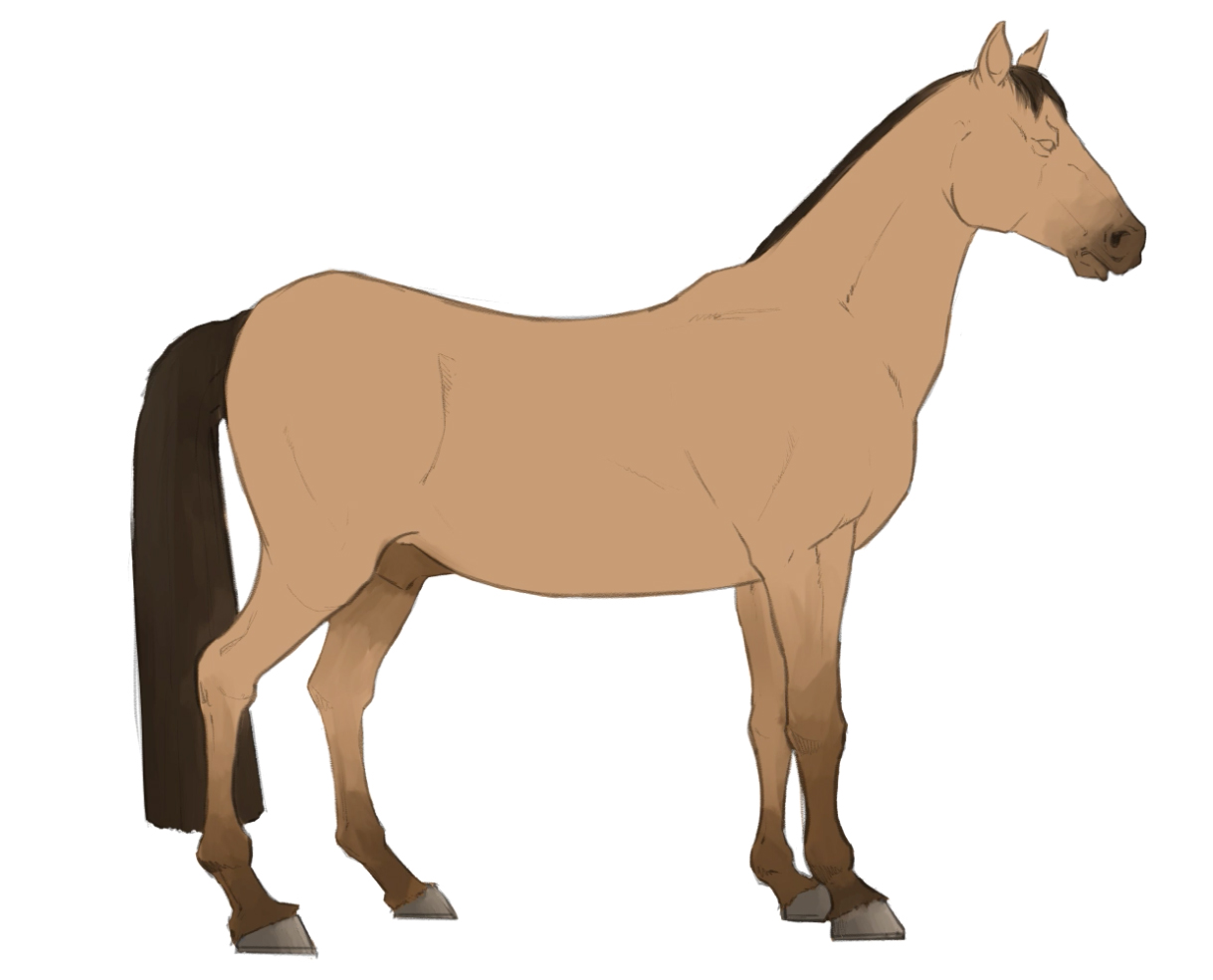 How To Draw A Horse In 10 Steps [A Beginner's Guide]