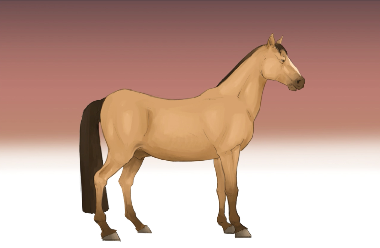 Xem hơn 100 ảnh về hình vẽ con ngựa đẹp - daotaonec