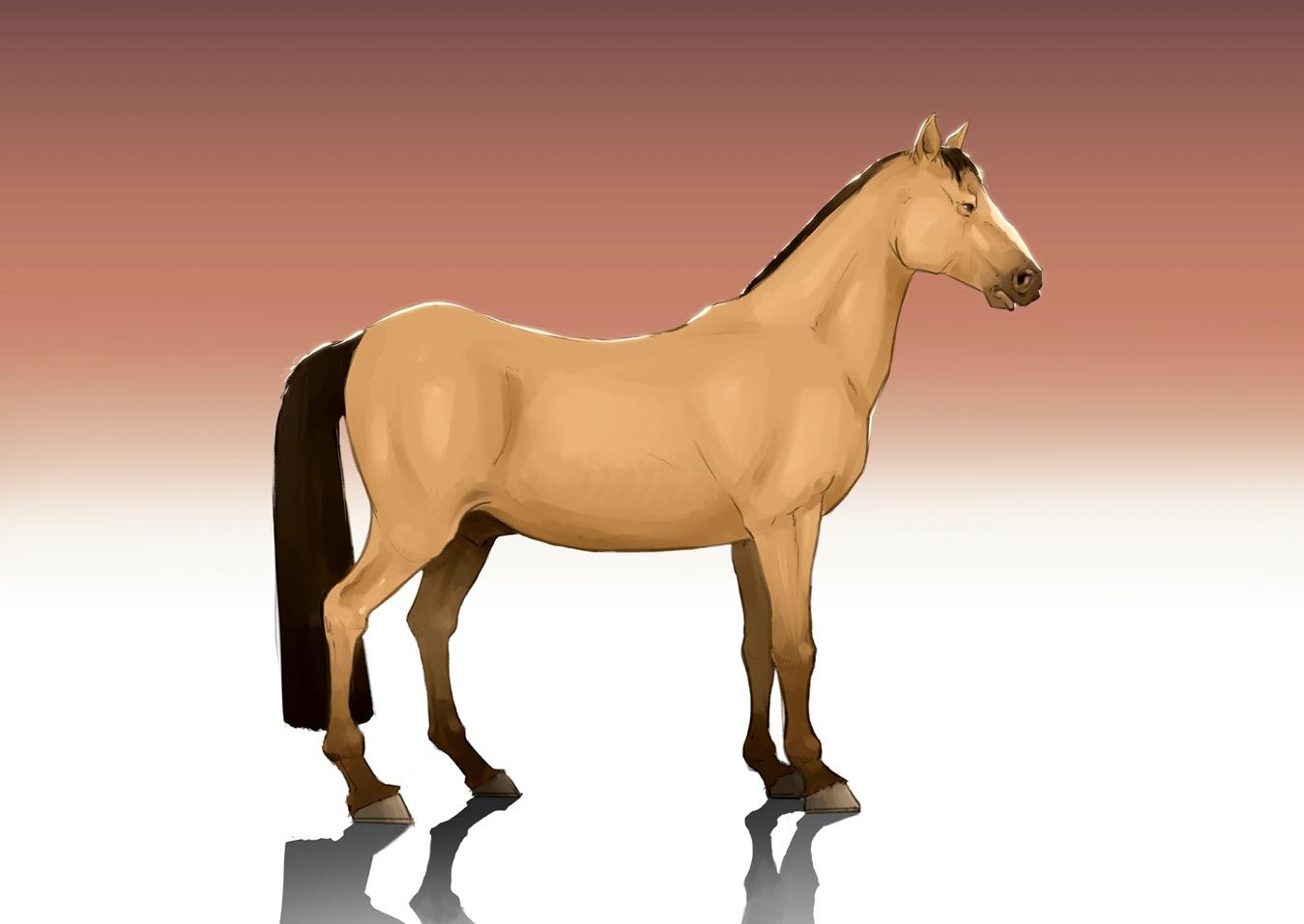 ArtStation - 11 horse poses - 3D Models- ZTL+OBJ+STL | Resources