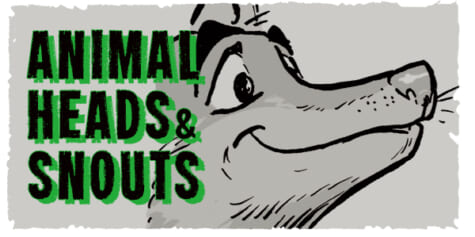 How To Draw ANIMAL HEADS & SNOUTS