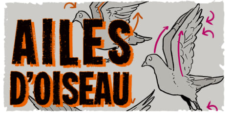 Comment dessiner des ailes d'oiseau