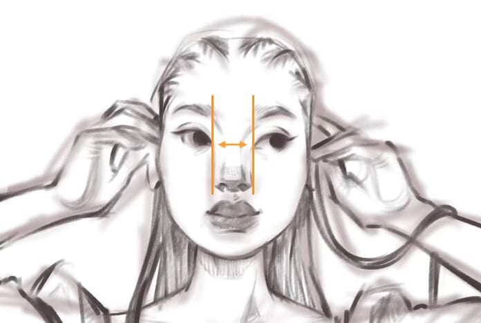 Female face proportions for eye distance